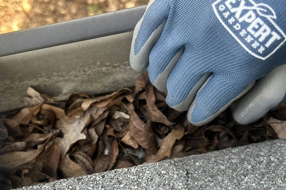 Gutter Cleaning Sandy Springs