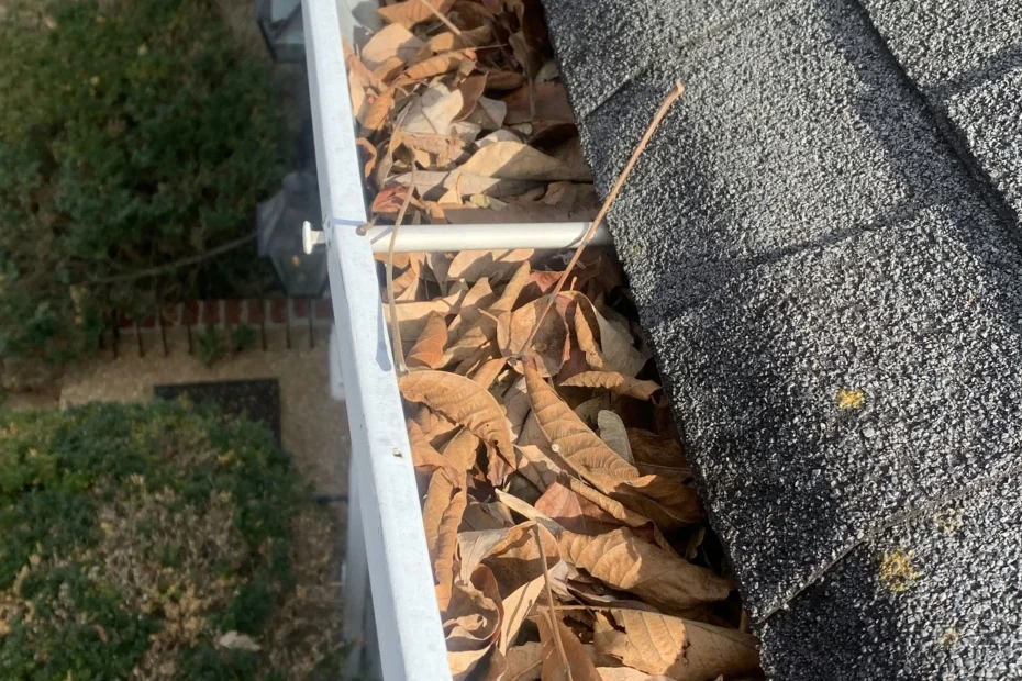 Gutter Cleaning Sandy Springs