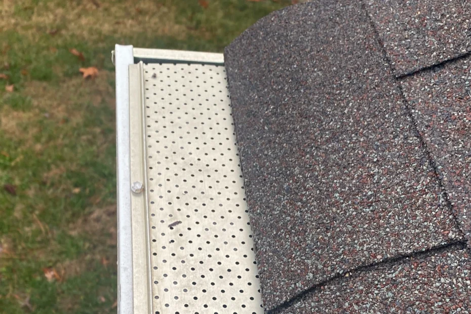 Gutter Cleaning Sandy Springs